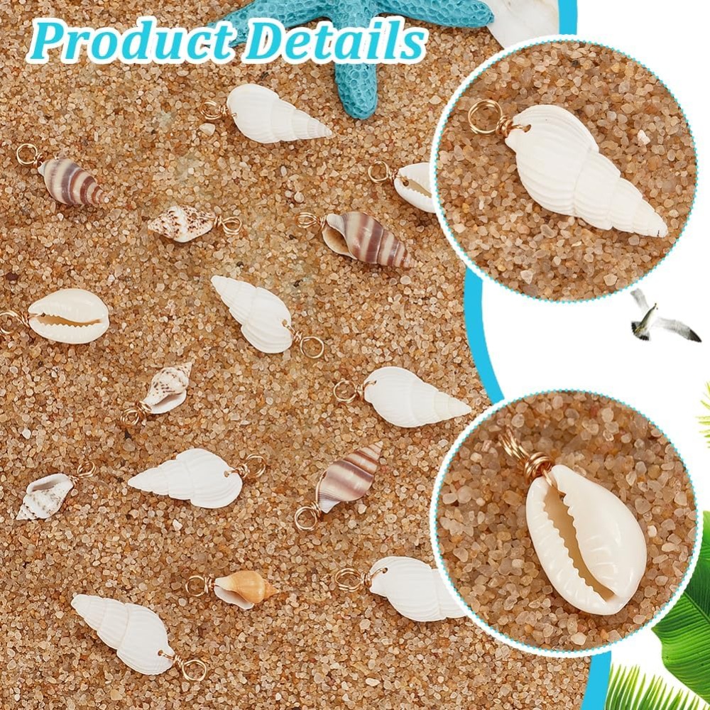 100pcs 4 Styles Natural Shell  - Jewelry Making Course 评论和价格