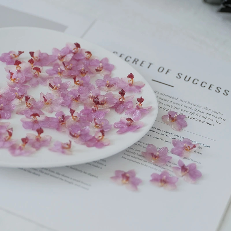DIY Jewelry Natural Pink Resin - Jewelry Making Event 评论和价格