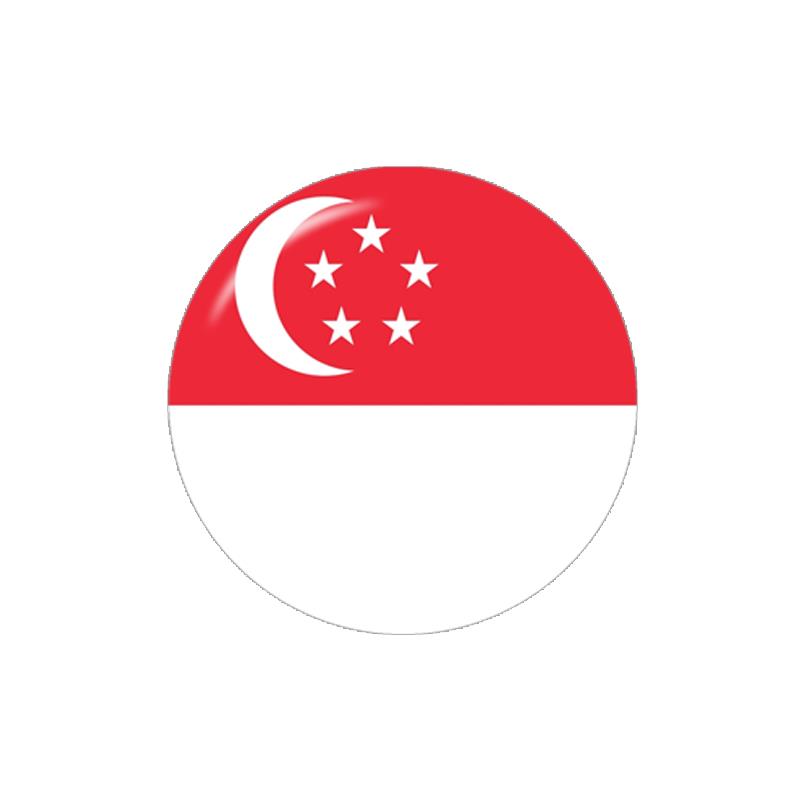 Asia Flag China Thailand Singa - Jewelry Making Singapore 评论和价格